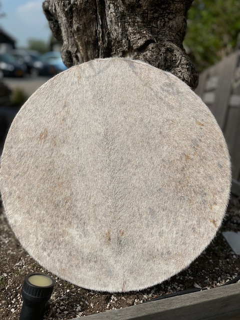Sjamenendrum geit 50 cm