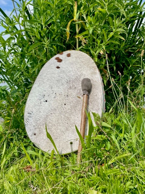 Sjamenendrum ovaal koe 50 cm