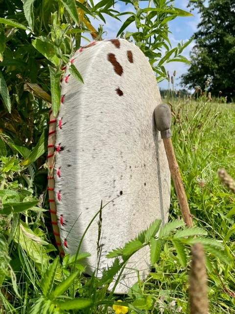 Sjamenendrum ovaal koe 50 cm